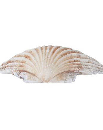 Dekoracyjna muszla, w stylu boho, lata 80, Przetwory design