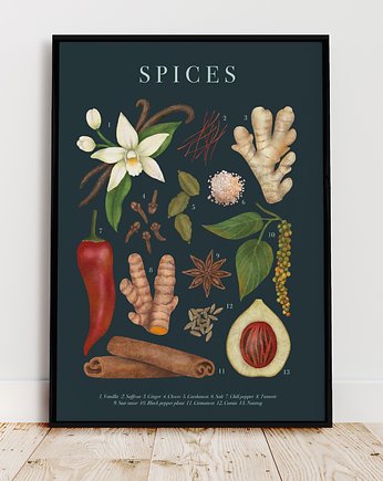 Plakat botaniczny "Spices" 30x40, Studio Stonka