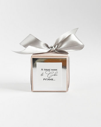 Papiernik projektant