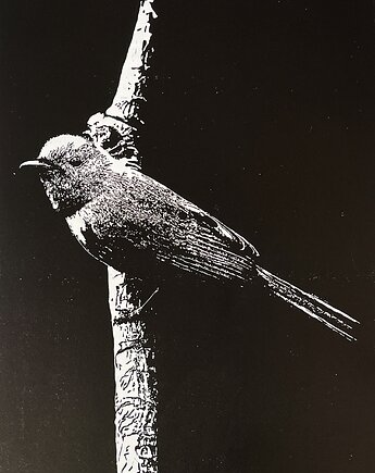 Linoryt "Little bird" - odbitka  40/60 cm, papier 50/70 cm, Scrap Glass Art Studio