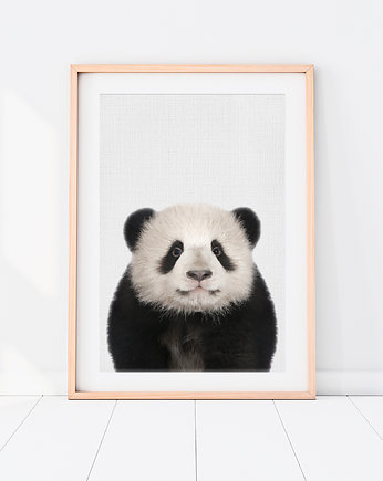 Plakat Panda - Plakat do pokoju dziecka, LOVINA PRINTS