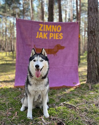 KOC XL Zimno jak pies, CZŁOWIEK KOC