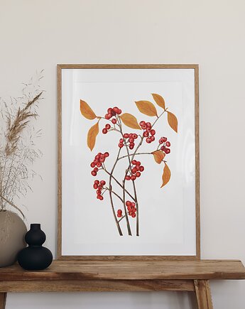 Plakat- Aronia czerwona, HERBAROOM