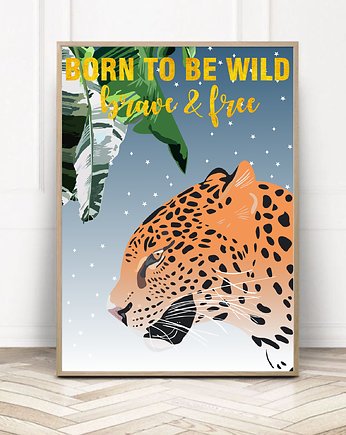 Plakat Born to Be Wild, Project 8