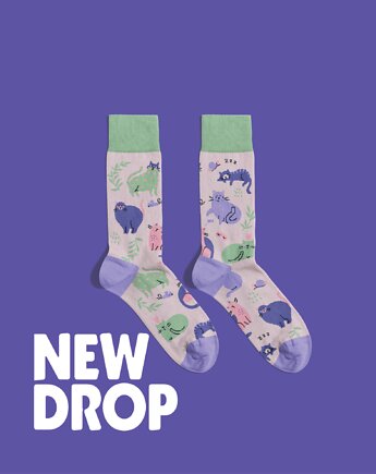 Skarpetki Funky Cats - Zwariowane Kotki