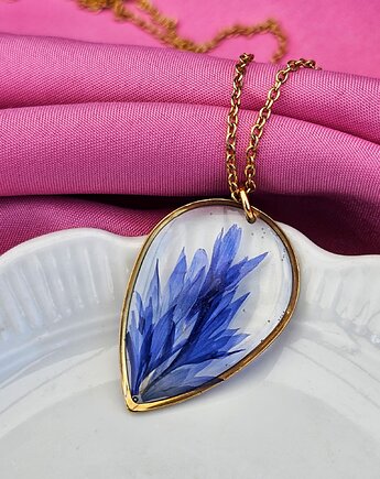 Naszyjnik z chabrem, Kwiatostany