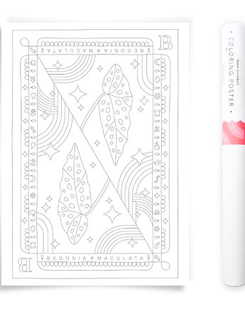 Plakat do Kolorowania Roślina Doniczkowa Begonia 50x70cm, Anna Grunduls Design