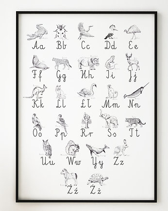 ALFABET, plakat edukacyjny, zwierzęta, PRINTLOVE