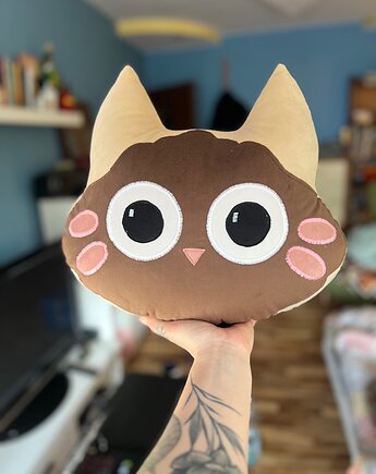 Czekoladek duży, Kotuszki Moni