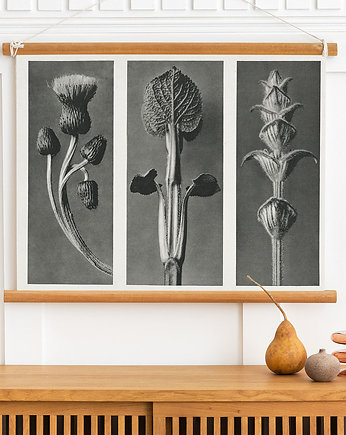 Plakat Vintage Plants  50x70 cm, Milo Mi