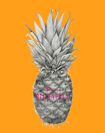Plakat  Ananas comosus II, Kredka Papier