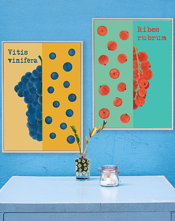 Winogrona i porzeczki - zestaw plakatów fine art, minimalmill