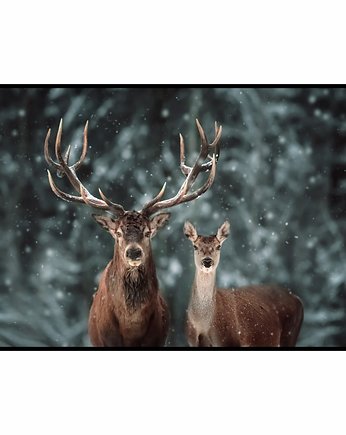 Plakat "Jelenie w śnieżnym lesie", Fotobloki and decor