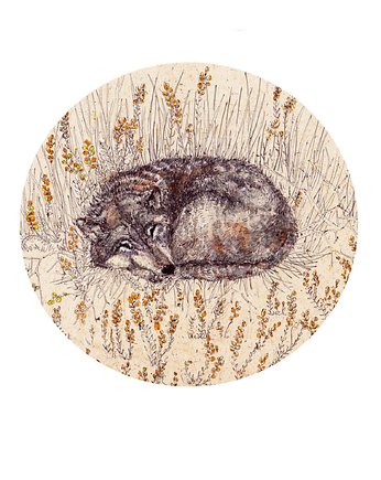 Wilk- Śpiący wilk- Grafika- Ilustracja- Plakat, BOSKE