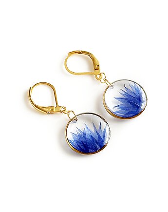 Kolczyki z chabrem, prezent dla kobiety, Colie