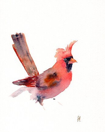 Oryginalna akwarela. Kardynał, alquadro