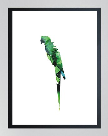 PAPUGA 4- poster, 50x70 cm, KOKO by HOKO