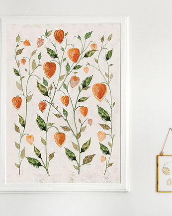 Miechunka  plakat botaniczny  50x70 cm, Anita Tomala