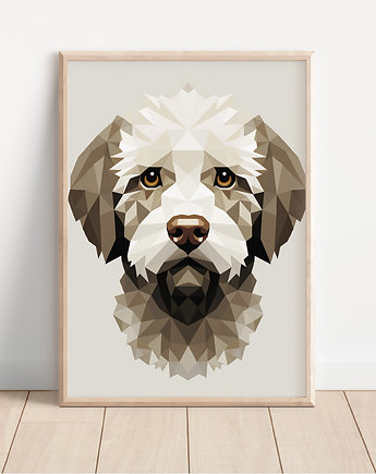 Plakat lagotto romagnolo, Whatever the timezone