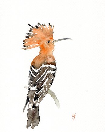 Oryginalna akwarela. Dudek, alquadro