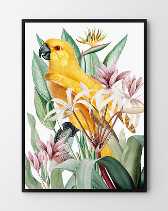 Plakat Papuga i kwiaty , HOG STUDIO