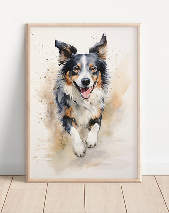 Plakat border collie, Whatever the timezone