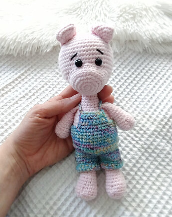 Prosiaczek Rafał, świnka, świnia, szydlAnki