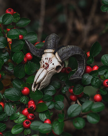 Wisior Czaszka Barana Tribal, Nest of Bones