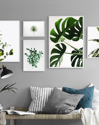 ZESTAW PLAKATÓW plakaty botanicze z roślinami, black dot studio