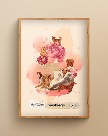 Plakat Słodkiego Pieskiego Życia, Łukasz Kuleta