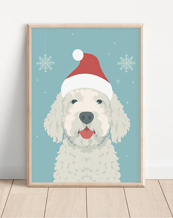 Plakat lagotto romagnolo, Whatever the timezone