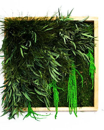 Obraz z mchu oraz roślin stabilizowanych, juko green design