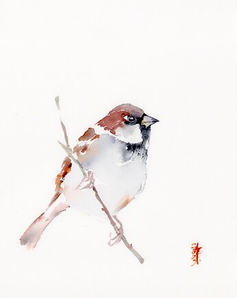 Oryginalna akwarela. Wróbel, alquadro