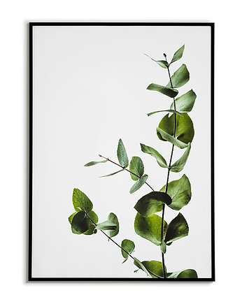 Plakat botaniczny GRAFIKA roślina, Bajkowe Obrazki