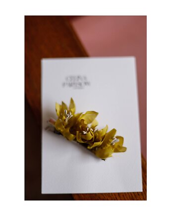 Jedwabna spinka, Celina Parysów