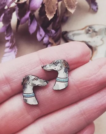 Charty malowane, DWUKROOPEK