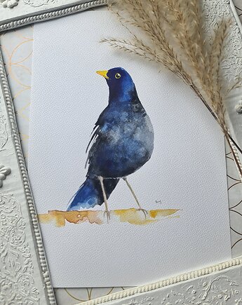 Akwarela kos, Wiktoria Borys Art