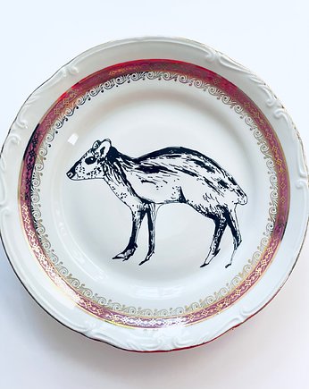 Myszojeleń, arent plates