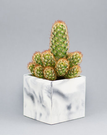Szara osłonka betonowa kwadratowa 8 cm, GREEN FEVER Concrete Decor
