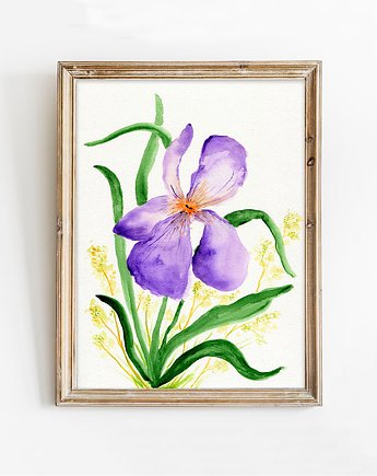 Sale! Oryginalna akwarela. Irys A4, Malgorzata Domanska