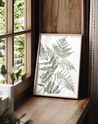 Plakat Paproć Pteris, HERBAROOM
