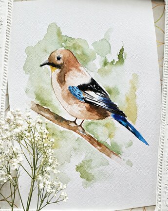 Akwarela sójka, Wiktoria Borys Art