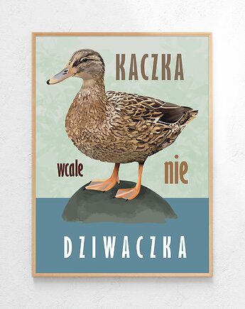 Plakat Kaczka (wcale nie) dziwaczka, Czamarska grafika