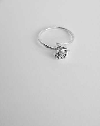 pierścionek 16,8 mm, Hanna Ind