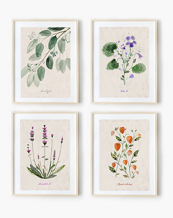 4 ilustracje botaniczne  A3, OKAZJE - Prezenty na 18