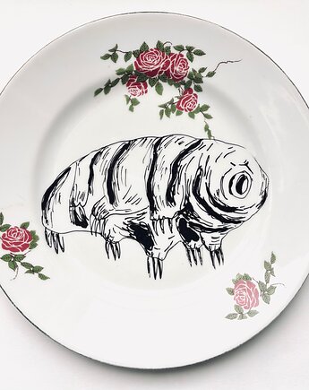 Niesporczak rycina, arent plates