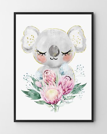 Miś Koala - plakat, HOG STUDIO