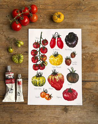 Pomidory- Grafika na ścianę- Ilustracja- Warzywniak, BOSKE