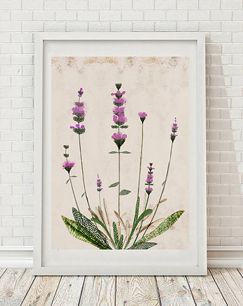 Plakat Lawenda A3, Anita Tomala