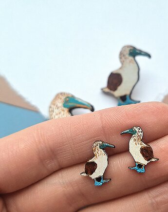 Głuptaki malowane, DWUKROOPEK